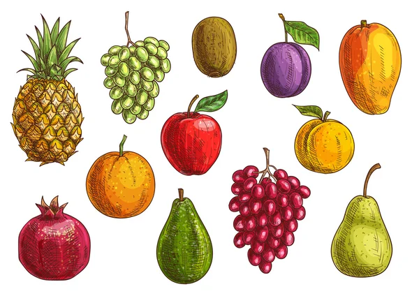 Iconos aislados de frutas tropicales y exóticas — Vector de stock