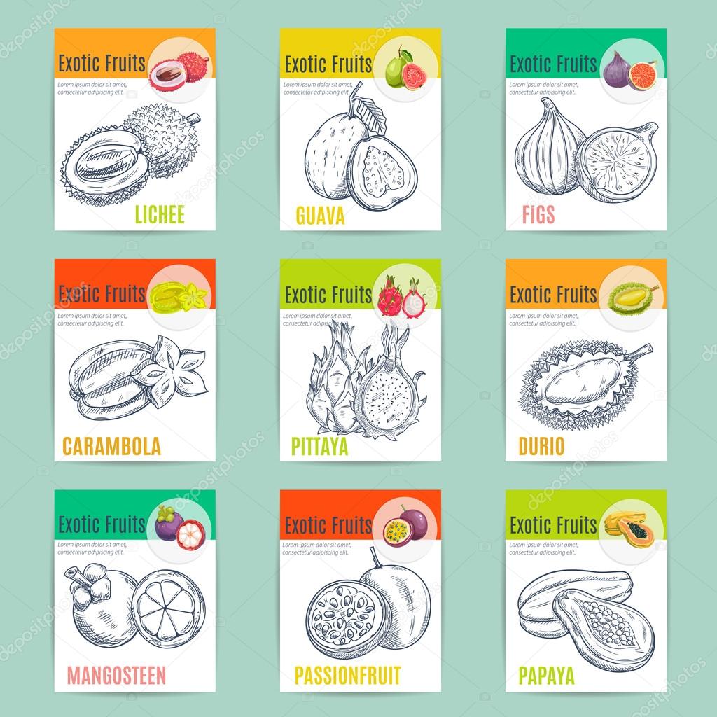 Exotic fruits poster. Vector pencil sketch icons of lychee, guava, figs, carambola, dragon fruit, pitaya, durian, mangosteen passion fruit papaya