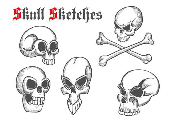 Skull lápiz artístico bosquejo iconos — Archivo Imágenes Vectoriales