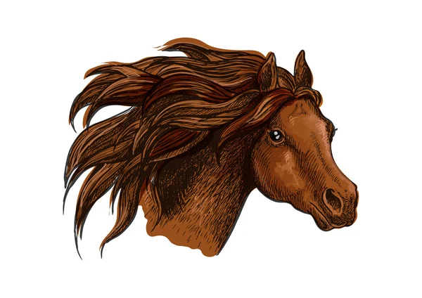 Correndo cabeça de cavalo close up retrato —  Vetores de Stock