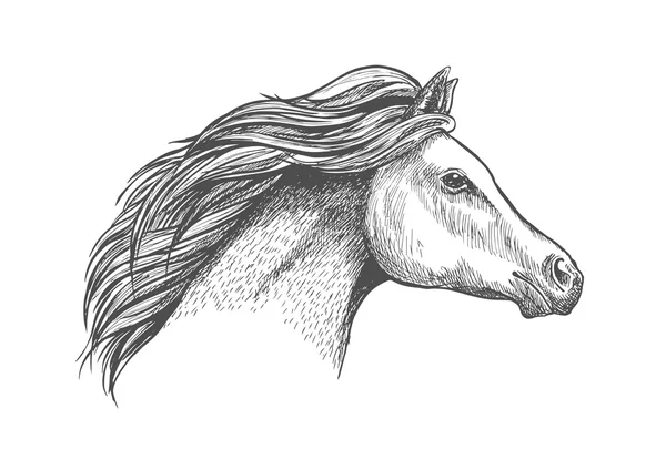 Голова скаковой лошади для дизайна скачек — стоковый вектор
