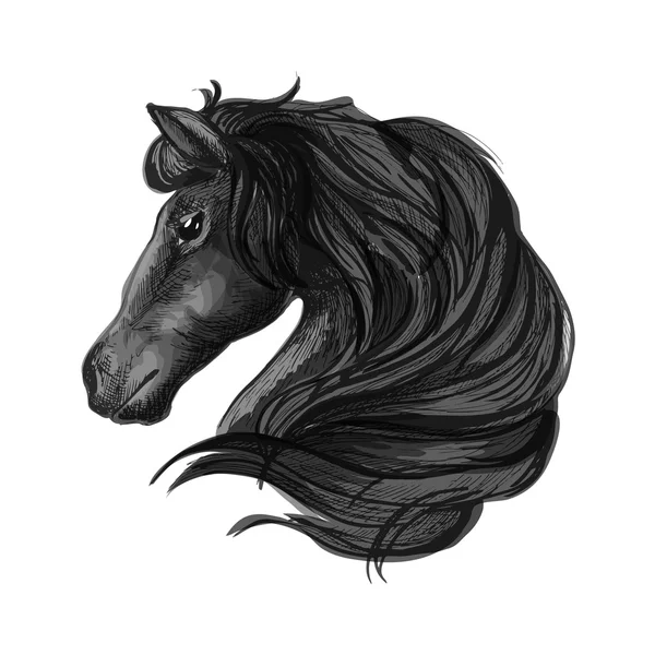 Black stallion horse head sketch — Stock Vector