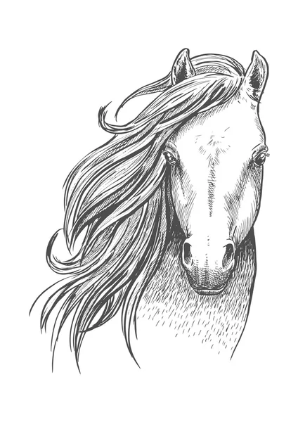 Croquis de cheval mustang sauvage pour la conception équine — Image vectorielle