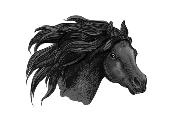 Schwarzer Mustang Pferd Skizze Porträt — Stockvektor