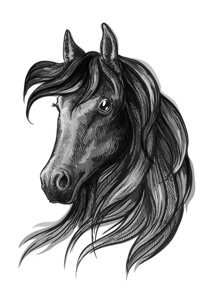 Horse head watercolor sketch portrait — Stock Vector