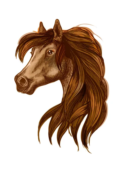 Cabeza de caballo con melena ondulada larga — Archivo Imágenes Vectoriales