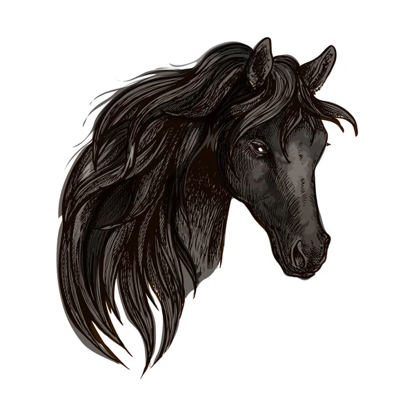 Black horse head watercolor portrait — Stock Vector