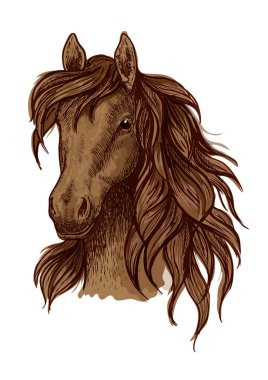 Kahverengi çalışan mustang portre