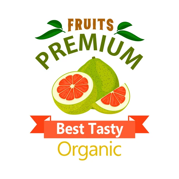 Pomelo pôster de vetor de frutas orgânicas — Vetor de Stock