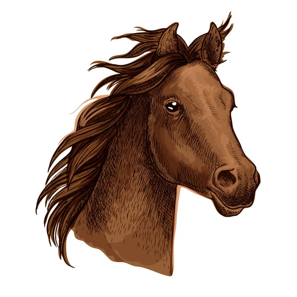 Retrato de caballo marrón con melena ondulada — Vector de stock