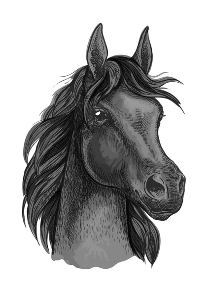 Porträt eines schwarzen Pferdes mit glänzenden dunklen Augen — Stockvektor