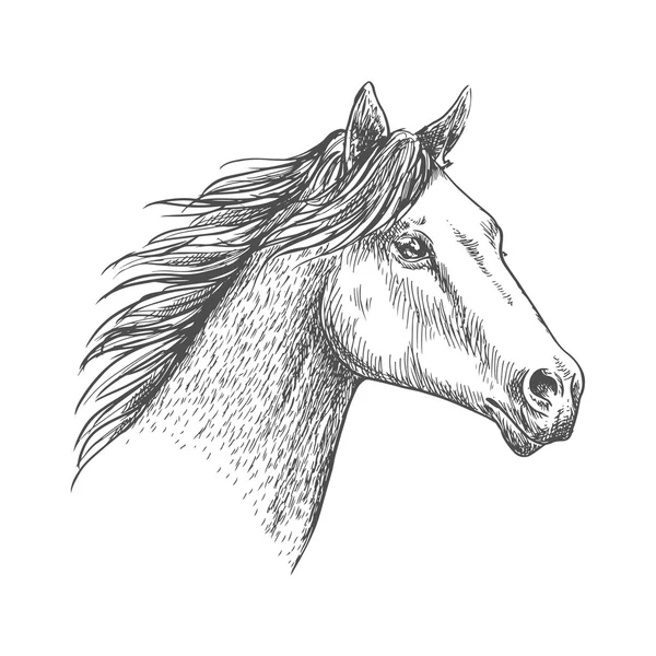 Desenho de lápis de cabeça de cavalo esboço traços retrato — Vetor de Stock