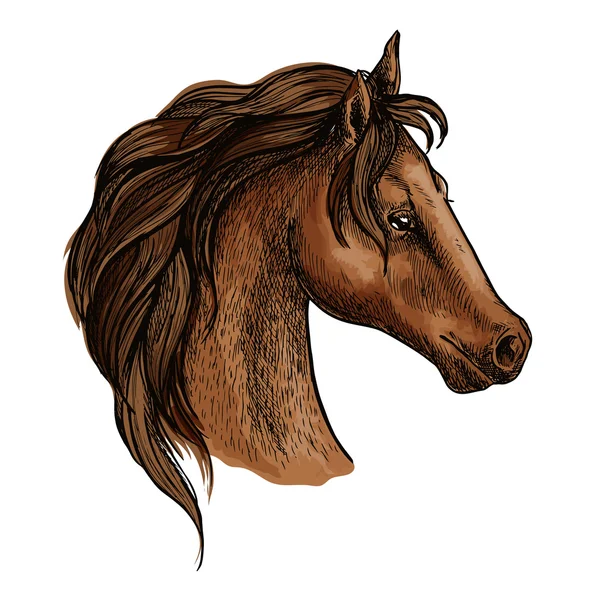 Retrato de cabeza de caballo Brwon — Vector de stock