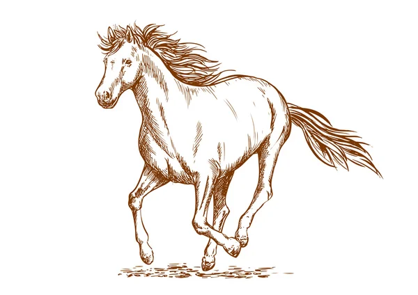 Esbozo de caballo marrón de yegua árabe — Vector de stock