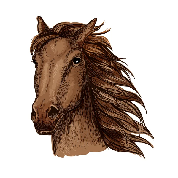 Croquis de cheval de course marron pour la conception de courses de chevaux — Image vectorielle