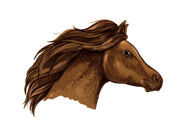 Caballo marrón bosquejado para diseño ecuestre — Vector de stock