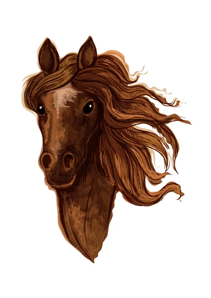 Croquis du cheval de jument arabique marron — Image vectorielle