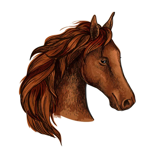 Cabeza de caballo semental marrón boceto — Vector de stock