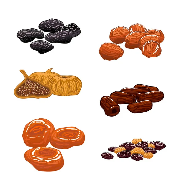 Dried Fruits set. Isolated vector icons — Stock Vector