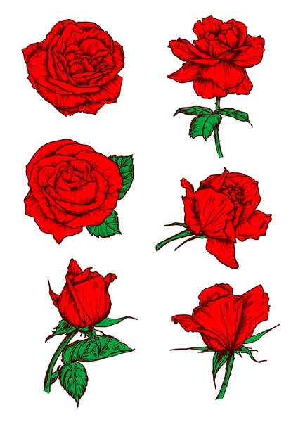 Röda rosor knoppar ikoner. Blomma skiss emblem — Stock vektor