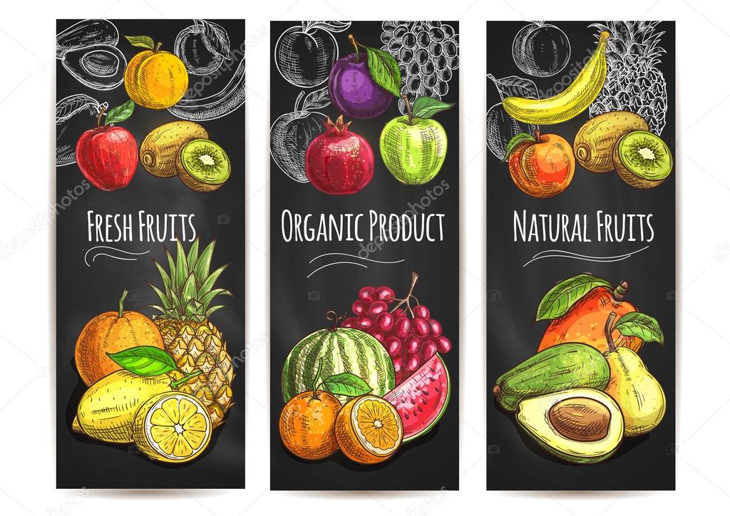 Fresh natural organic fruits. Vector sketch color icons of pear, orange, avocado, apple, peach, banana, kiwi, lemon, mango, pineapple, watermelon pomegranate grape plum for juice drink label poster