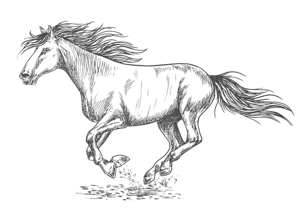 Rush running portrait de croquis de cheval — Image vectorielle