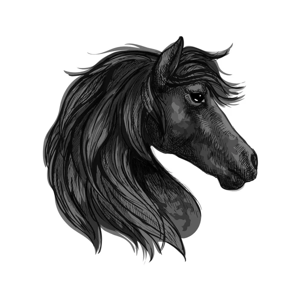 Cabeza de caballo negro perfil retrato — Vector de stock