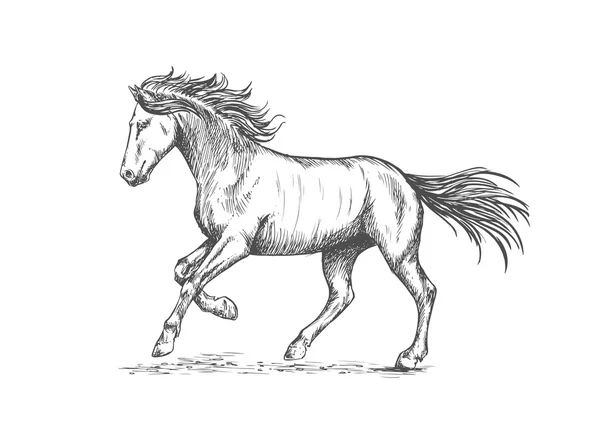 Caballo en movimiento con retrato de pezuña stmping — Vector de stock