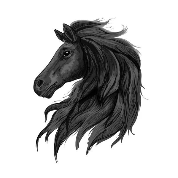 黑色高贵的马轮廓肖像 — 图库矢量图片
