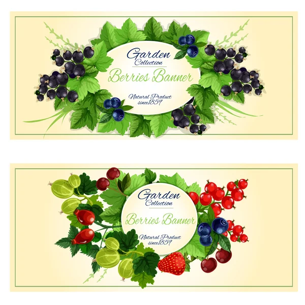 Fresh berries and fruits banners for food design — Stock Vector