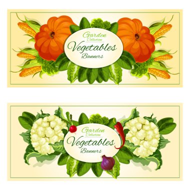 Sebze ve salata yeşillik afiş seti