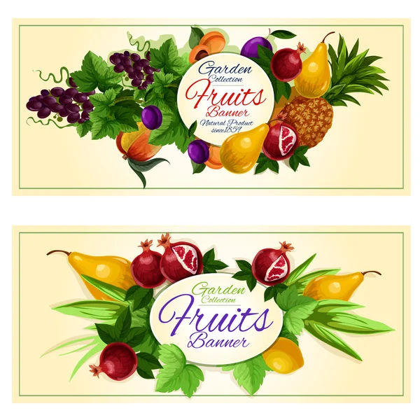 Sweet summer fruits banners for food design — Stock Vector
