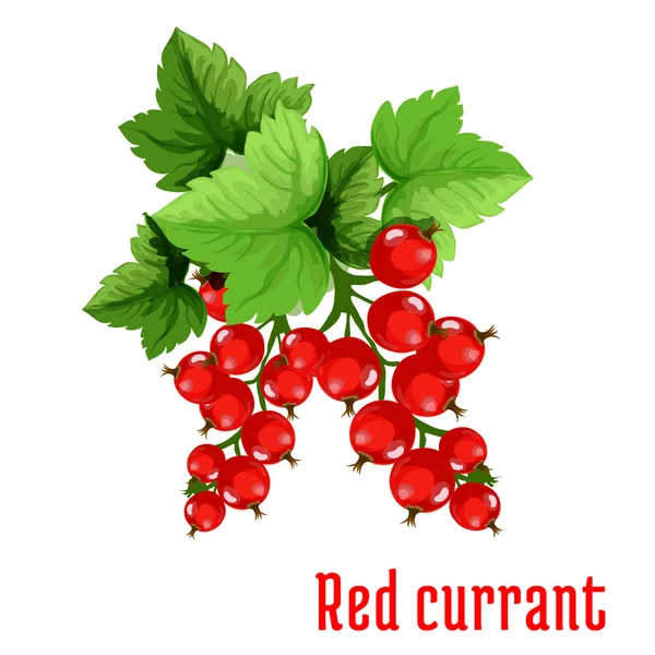 Groseille rouge fruit dessin animé icône — Image vectorielle