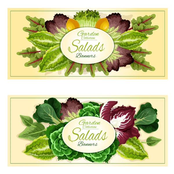 Färska bladgrönsaker och Sallad greener banners set — Stock vektor