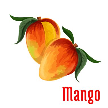 Gıda için Mango meyve simgesi, meyve suyu ambalaj tasarımı
