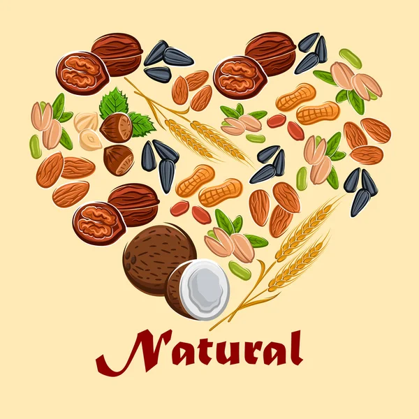 Cartel de frutos secos y cereales naturales — Vector de stock