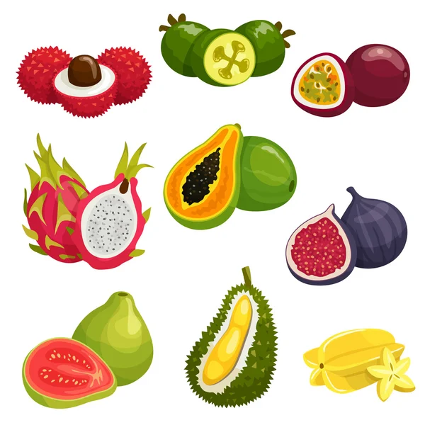 Iconos aislados de frutas tropicales y exóticas — Vector de stock