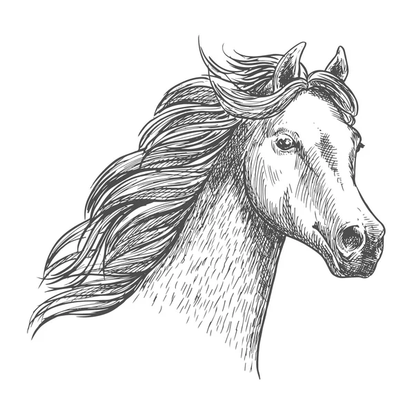 Portrait de croquis de cheval blanc gracieux — Image vectorielle