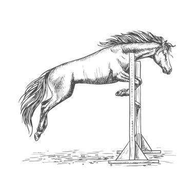 White horse jumping over barrier sketch portrait clipart