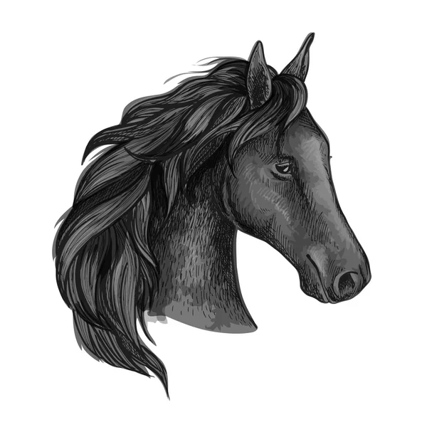 Black graceful horse portrait — Stock Vector