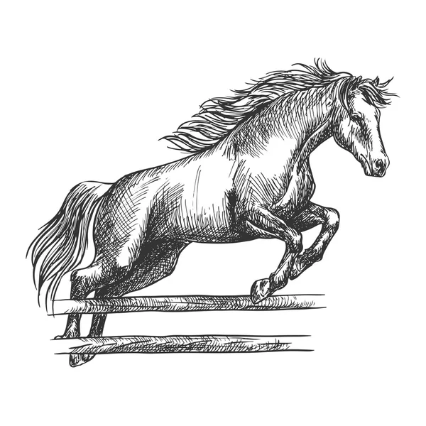 Сильний кінь стрибає через бар'єр — стоковий вектор