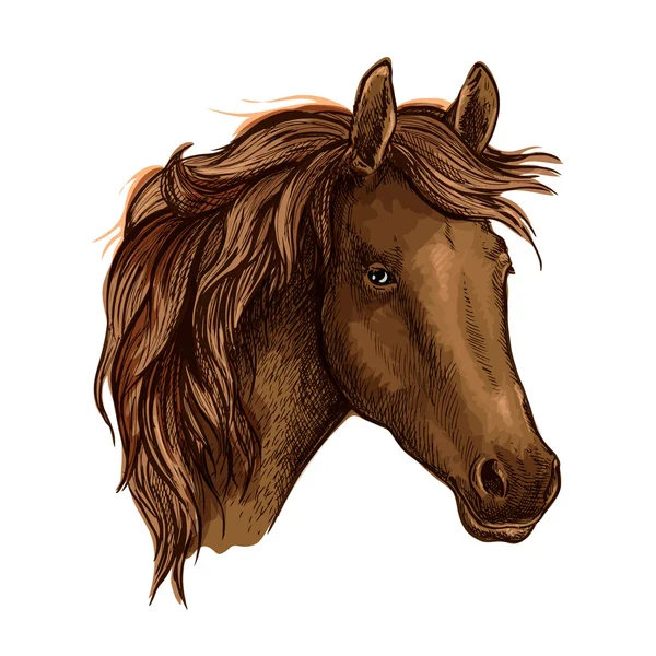 Brown graceful sad horse portrait — Stock Vector
