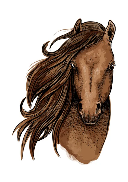 Retrato artístico caballo mustang marrón — Vector de stock