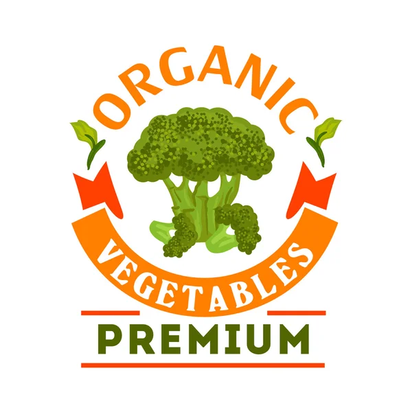 Broccoli organic healthy vegetable emblem — Stock Vector