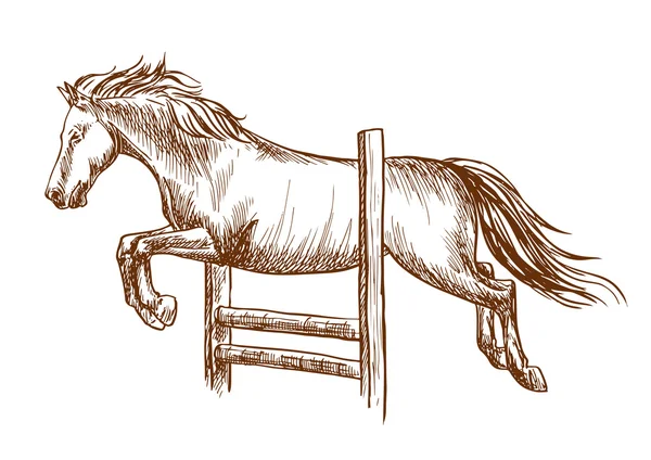 Wild horse  jumping over barrier — Stock vektor