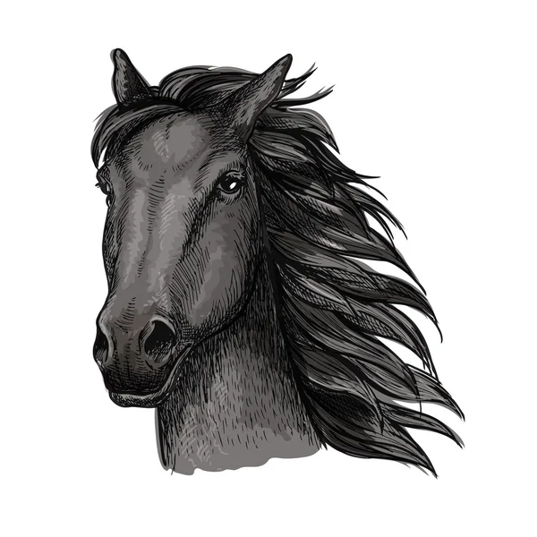 Negro orgulloso caballo corriendo retrato — Vector de stock