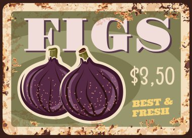 İncirler, paslı metal plakalar, gıda pazarı, vektör vintage posterler. Sulu incir meyveleri, tarım gıda pazarı ve güncel meyve mağazası tabelaları veya pas tabakası