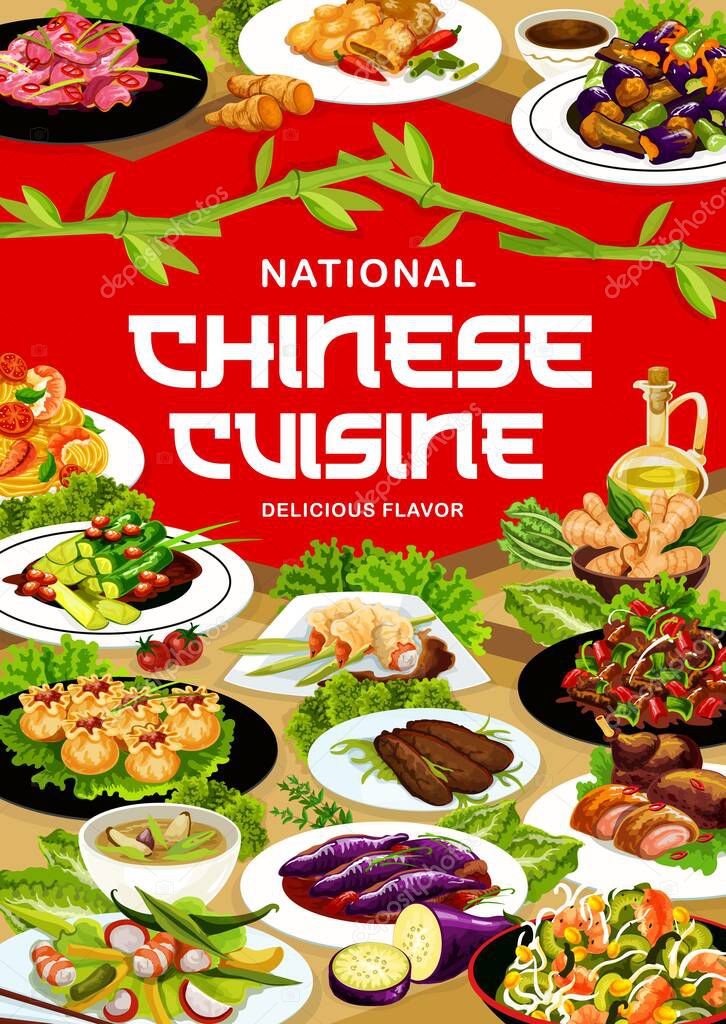 Chinese cuisine meals vector banner. Sichuan and peking duck in sauce, wonton, funchoza salad and noodles with shrimps, cucumbers in chili oil, stir fried beef, spicy eggplant and asian vegetable soup
