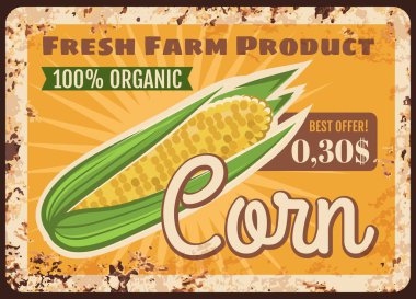Mısır paslı metal plaka, vektör taze tarım ürünü vintage teneke tabela. Eko market sebze üretimi, retro poster, sağlıklı çiğ vegan yiyecekler. Organik sebze perakende satış mağazası için fahiş fiyat etiketi