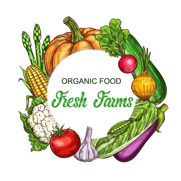 Organik Sebze Yeşillik Çerçevesi Balkabağı Turp Kabak Soğan Marul Salatası — Stok Vektör